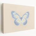 Nature-Inspired Gradient Butterfly Art | Abstract Textured Wall Décor