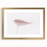 Nature-Inspired Abstract Leaf Art | Soft Grainy Gradient Canvas