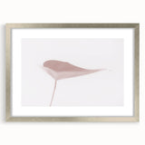 Nature-Inspired Abstract Leaf Art | Soft Grainy Gradient Canvas