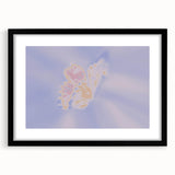 Abstract Butterfly Gradient Art | Nature-Inspired Soft Pastel Wall Décor