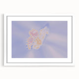 Abstract Butterfly Gradient Art | Nature-Inspired Soft Pastel Wall Décor