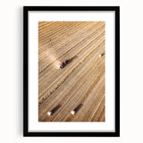 Harvest Glow - Aerial Farm Tractor Rustic Art