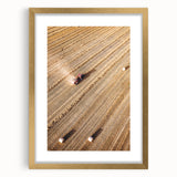 Harvest Glow - Aerial Farm Tractor Rustic Art