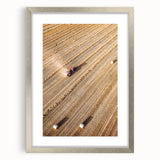 Harvest Glow - Aerial Farm Tractor Rustic Art