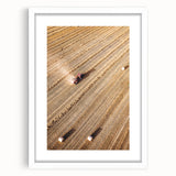 Harvest Glow - Aerial Farm Tractor Rustic Art