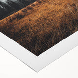 Misty Mountain Solitude - Rustic Nature Scene Art