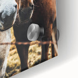 Equine Companions - Rustic Horse Portrait Art