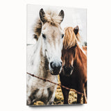 Equine Companions - Rustic Horse Portrait Art
