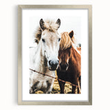 Equine Companions - Rustic Horse Portrait Art