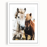 Equine Companions - Rustic Horse Portrait Art
