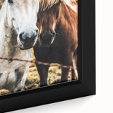 Equine Companions - Rustic Horse Portrait Art
