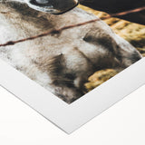 Equine Companions - Rustic Horse Portrait Art