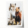 Equine Companions - Rustic Horse Portrait Art