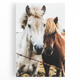 Equine Companions - Rustic Horse Portrait Art