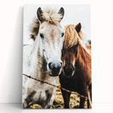 Equine Companions - Rustic Horse Portrait Art