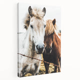 Equine Companions - Rustic Horse Portrait Art