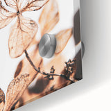 Delicate Decay - Vintage Botanical Rustic Art