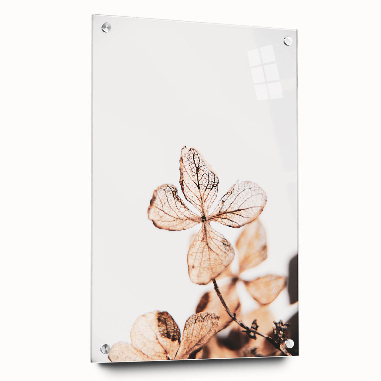 Delicate Decay - Vintage Botanical Rustic Art