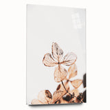 Delicate Decay - Vintage Botanical Rustic Art