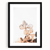 Delicate Decay - Vintage Botanical Rustic Art