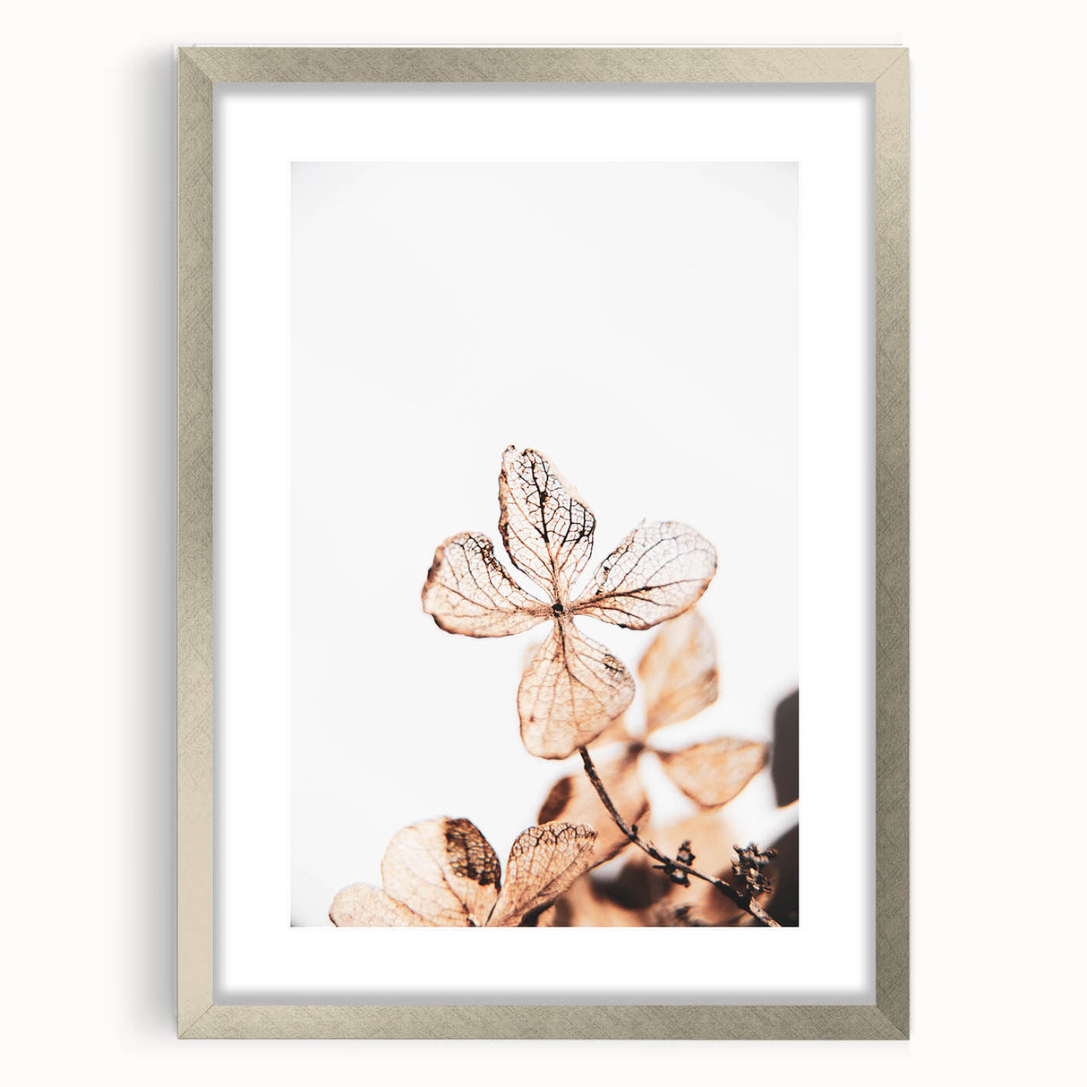 Delicate Decay - Vintage Botanical Rustic Art