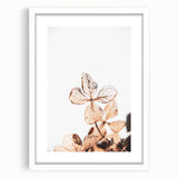 Delicate Decay - Vintage Botanical Rustic Art