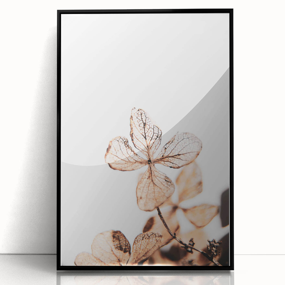Delicate Decay - Vintage Botanical Rustic Art