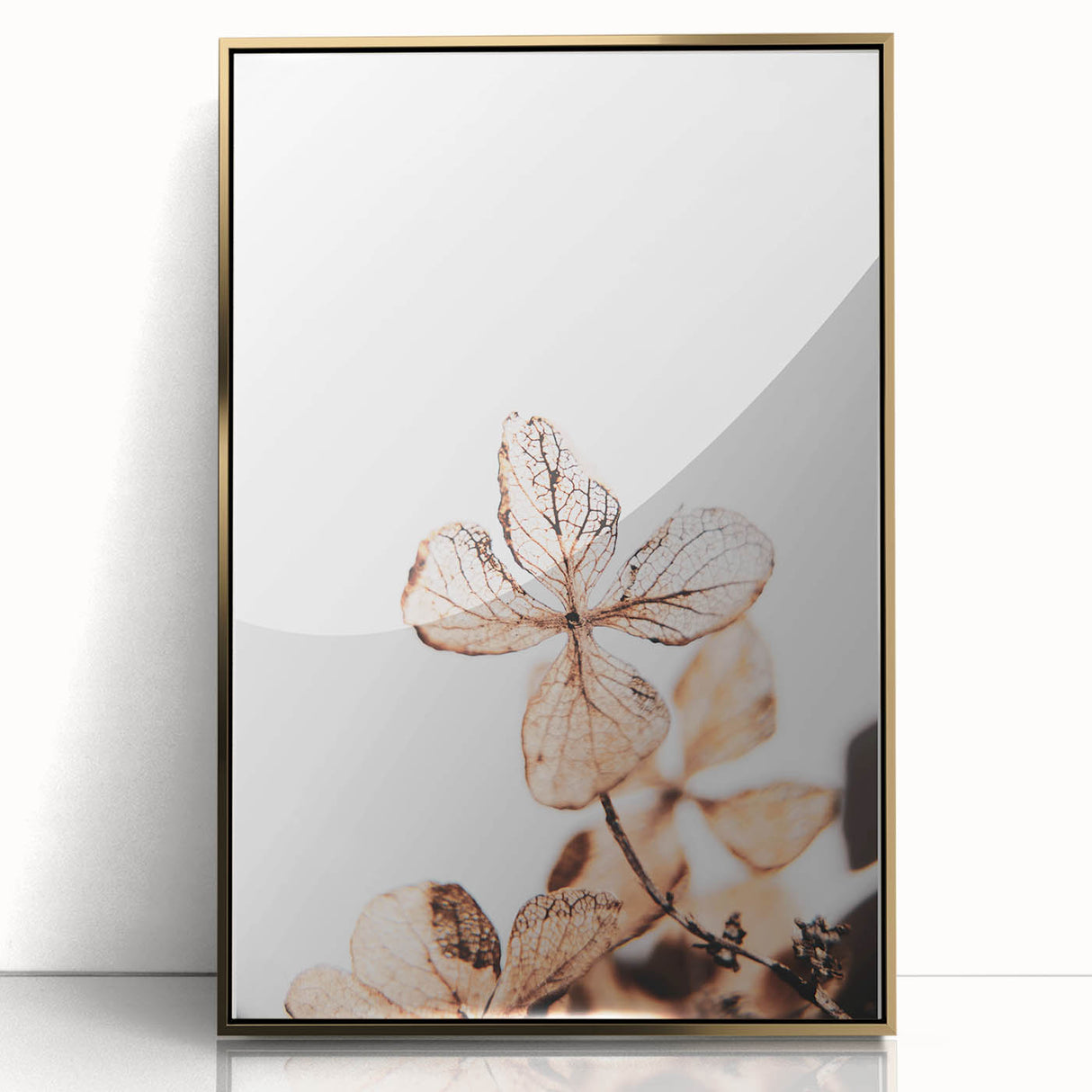 Delicate Decay - Vintage Botanical Rustic Art