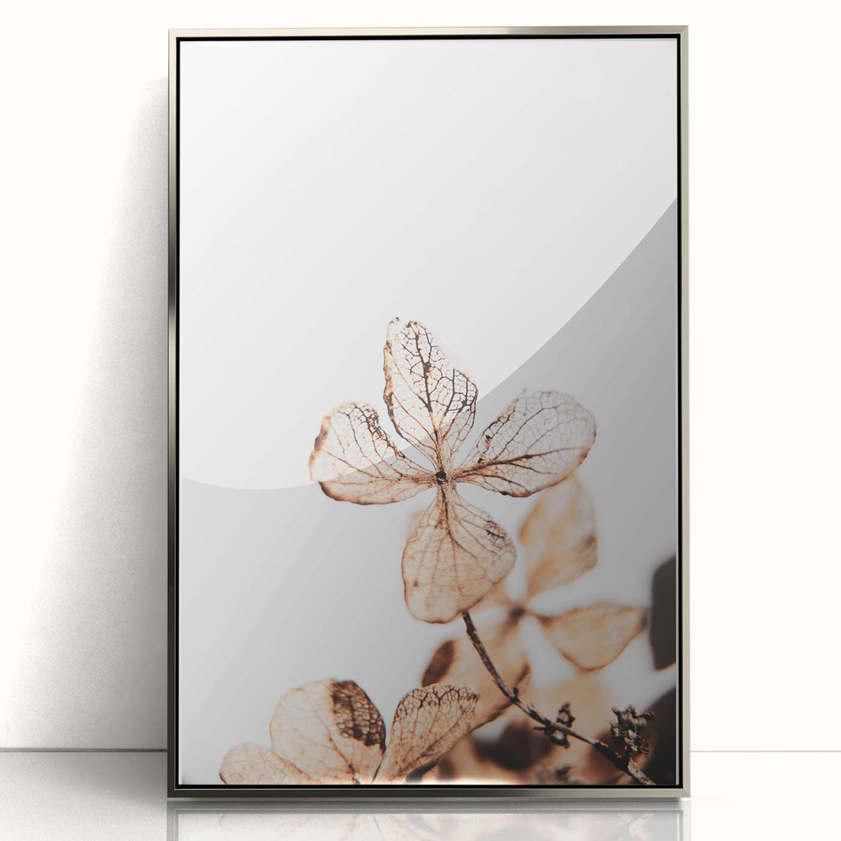 Delicate Decay - Vintage Botanical Rustic Art
