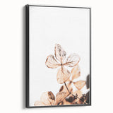 Delicate Decay - Vintage Botanical Rustic Art