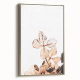 Delicate Decay - Vintage Botanical Rustic Art