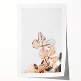 Delicate Decay - Vintage Botanical Rustic Art