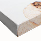 Delicate Decay - Vintage Botanical Rustic Art