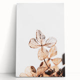 Delicate Decay - Vintage Botanical Rustic Art