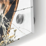 Grazing Grace - Rustic Horse Close-Up Art