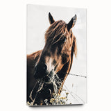 Grazing Grace - Rustic Horse Close-Up Art