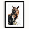 Grazing Grace - Rustic Horse Close-Up Art