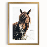 Grazing Grace - Rustic Horse Close-Up Art