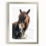 Grazing Grace - Rustic Horse Close-Up Art