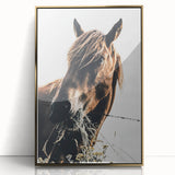 Grazing Grace - Rustic Horse Close-Up Art