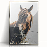Grazing Grace - Rustic Horse Close-Up Art