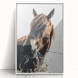 Grazing Grace - Rustic Horse Close-Up Art