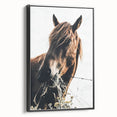 Grazing Grace - Rustic Horse Close-Up Art