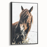 Grazing Grace - Rustic Horse Close-Up Art