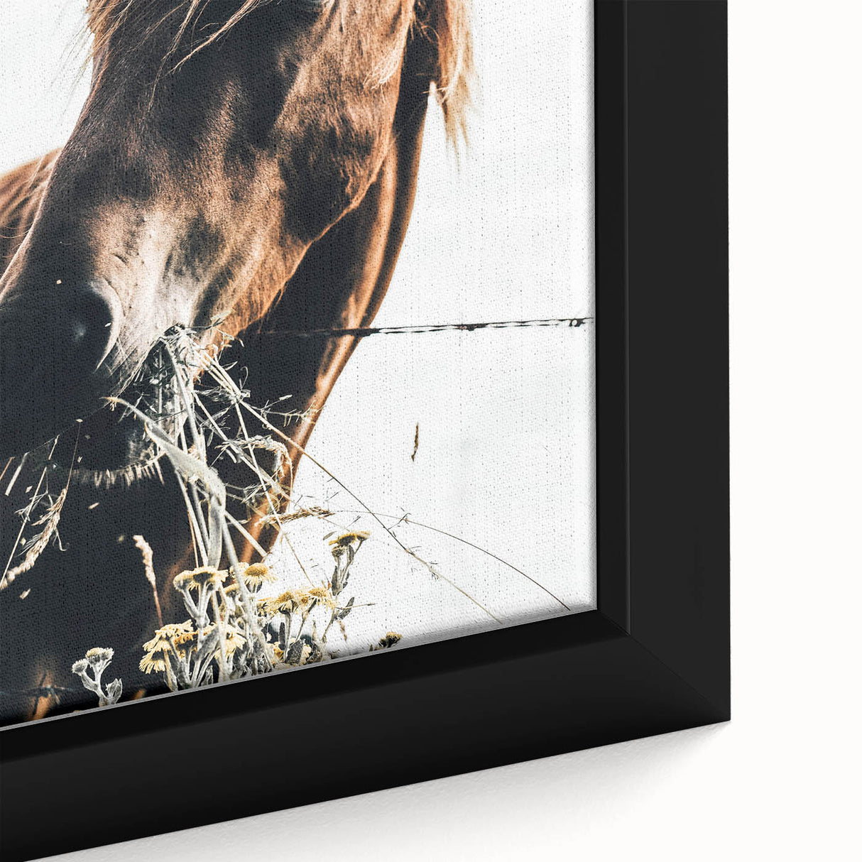 Grazing Grace - Rustic Horse Close-Up Art
