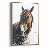 Grazing Grace - Rustic Horse Close-Up Art