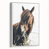 Grazing Grace - Rustic Horse Close-Up Art