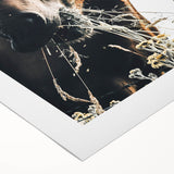 Grazing Grace - Rustic Horse Close-Up Art