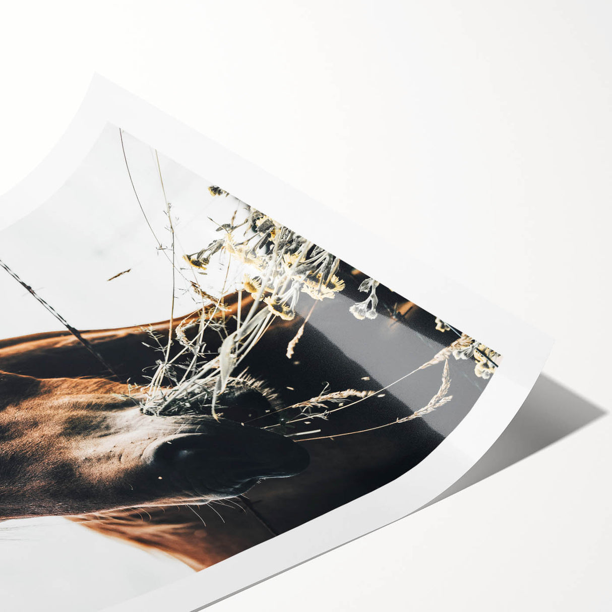 Grazing Grace - Rustic Horse Close-Up Art