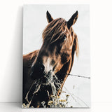 Grazing Grace - Rustic Horse Close-Up Art